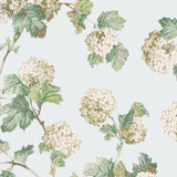 Papel de parede SUSSEX HYDRANGEA thibaut