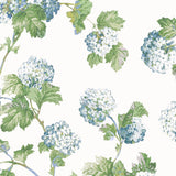 Papel de parede SUSSEX HYDRANGEA thibaut