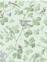 Papel de parede com padrão de pássaros Cole & Son