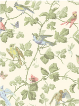 Papel de parede com padrão de pássaros Cole & Son