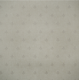 Papel de Parede Crocus Andrew Martin