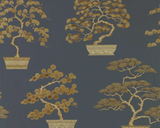 Papel de Parede Penjing, Sanderson