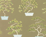 Papel de Parede Penjing, Sanderson