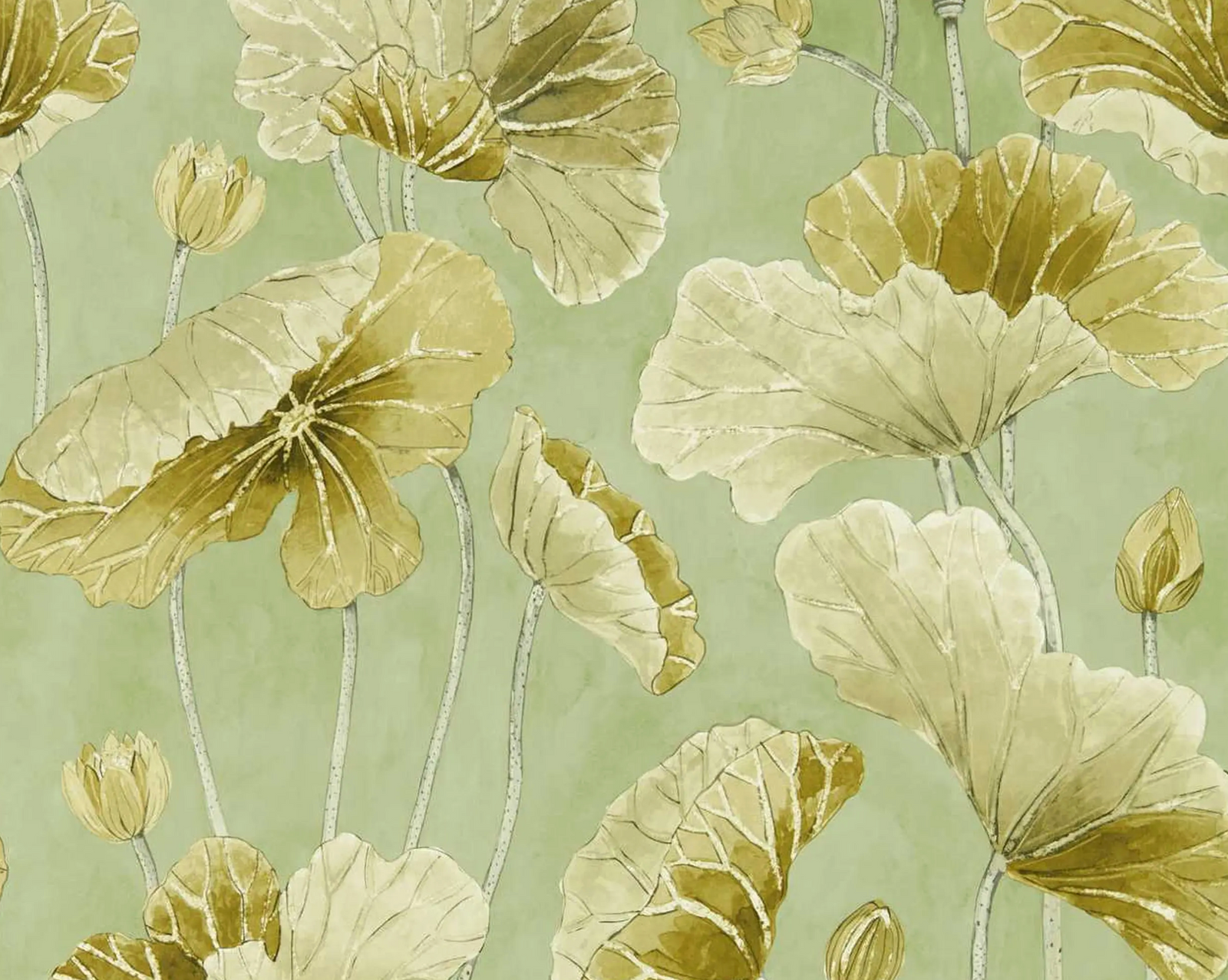 Papel de Parede Lotus Leaf, Sanderson
