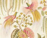 Papel de Parede Bird of Paradise, Sanderson