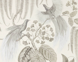 Papel de Parede Bird of Paradise, Sanderson