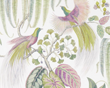 Papel de Parede Bird of Paradise, Sanderson