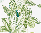 Papel de Parede Calathea, Sanderson