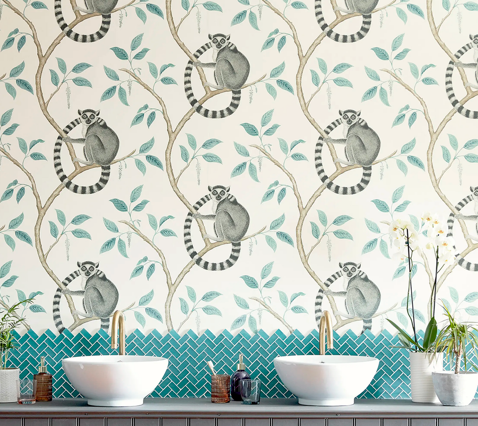 Papel de Parede Ringtailed Lemur, Sanderson