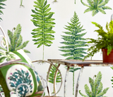 Papel de Parede Fernery, Sanderson