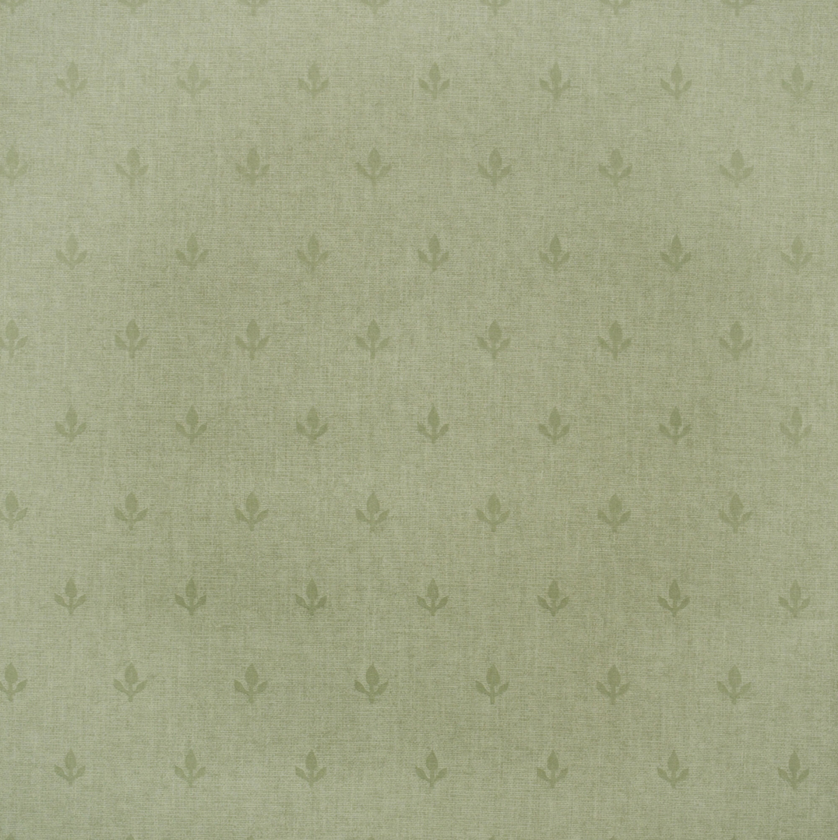 Papel de Parede Crocus Andrew Martin