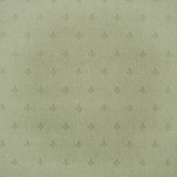 Papel de Parede Crocus Andrew Martin