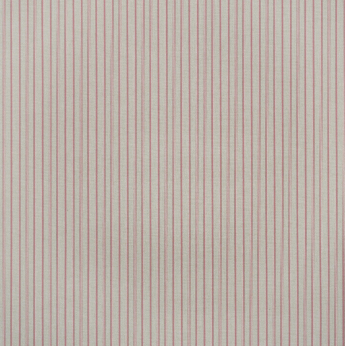 Papel de parede Twine Andrew Martin