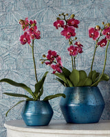 Papel de parede CRYSTALLA thibaut
