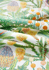 Papel de parede PROTEA thibaut