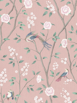 Papel de parede 1903 Paradise Birds