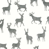 Papel de parede BUCKS thibaut