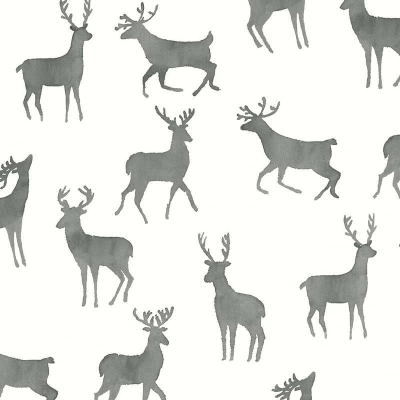 Papel de parede BUCKS thibaut