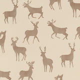 Papel de parede BUCKS thibaut