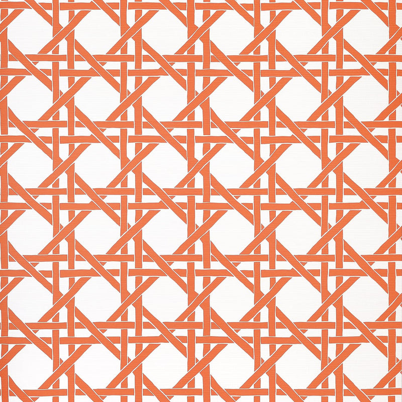 Papel de parede CANARY TRELLIS thibaut