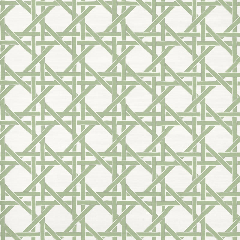 Papel de parede CANARY TRELLIS thibaut