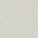 Papel de parede SAND DOLLAR thibaut