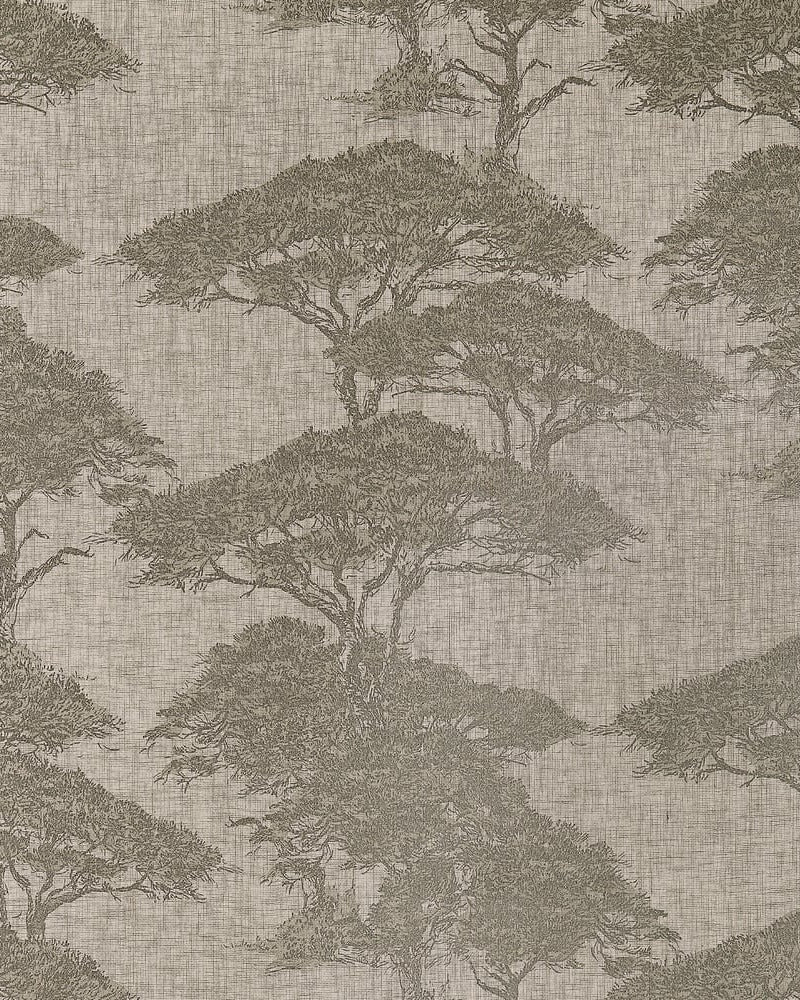 Papel de parede TORREY PINES thibaut
