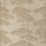 Papel de parede TORREY PINES thibaut
