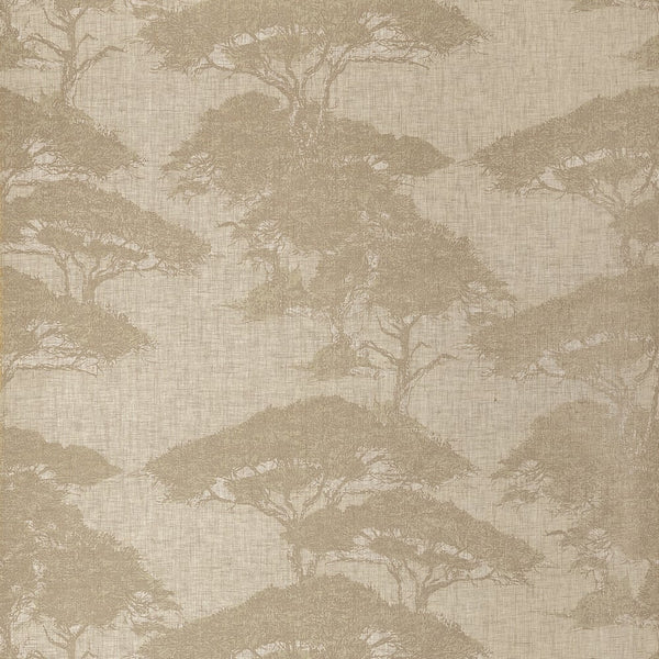 Papel de parede TORREY PINES thibaut