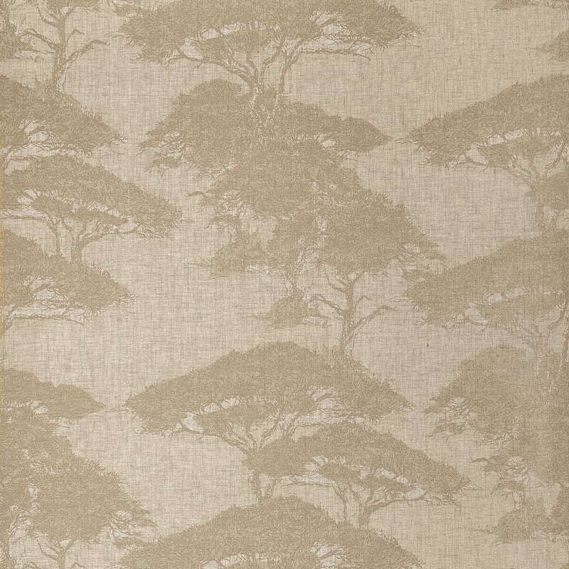 Papel de parede TORREY PINES thibaut