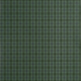 Papel de parede  HUNTLEY PLAID Thibaut