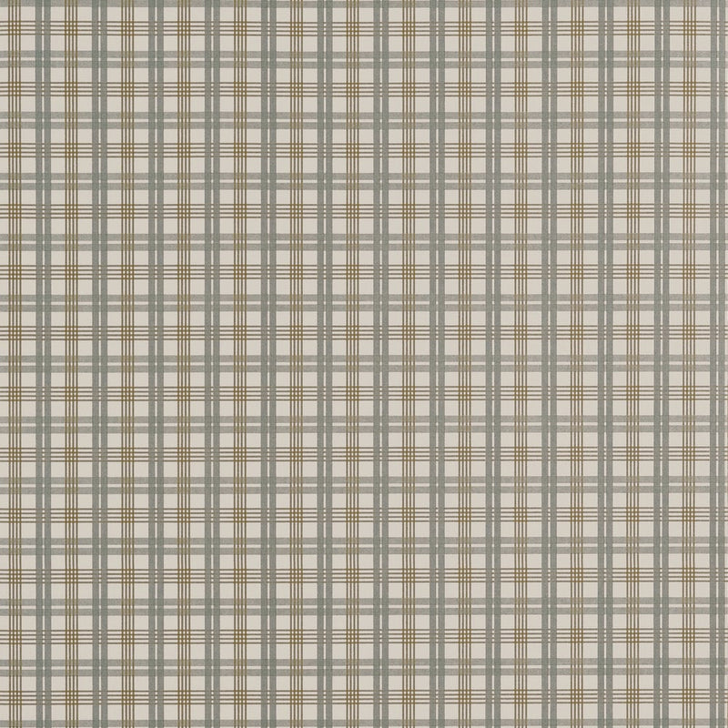 Papel de parede  HUNTLEY PLAID Thibaut