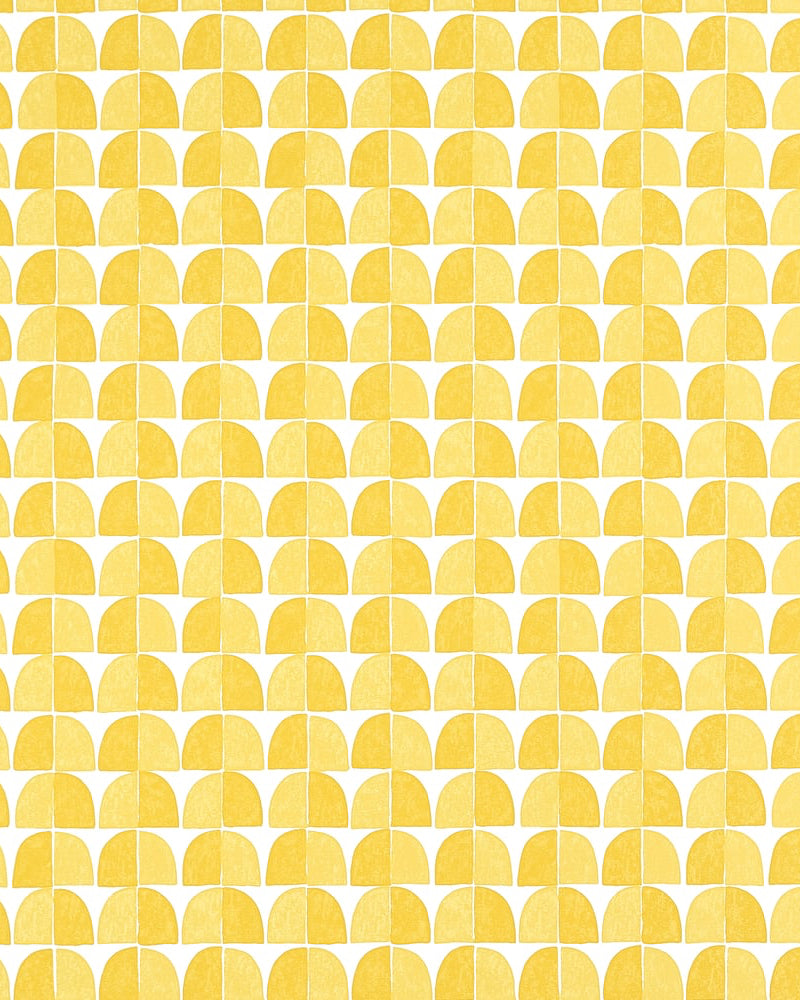 Papel de parede SOLSBURY thibaut