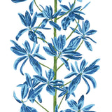 Papel de parede MANGROVE TREE thibaut