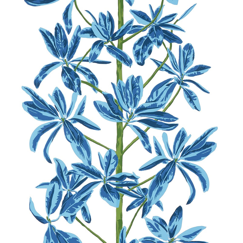 Papel de parede MANGROVE TREE thibaut