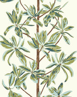 Papel de parede MANGROVE TREE thibaut