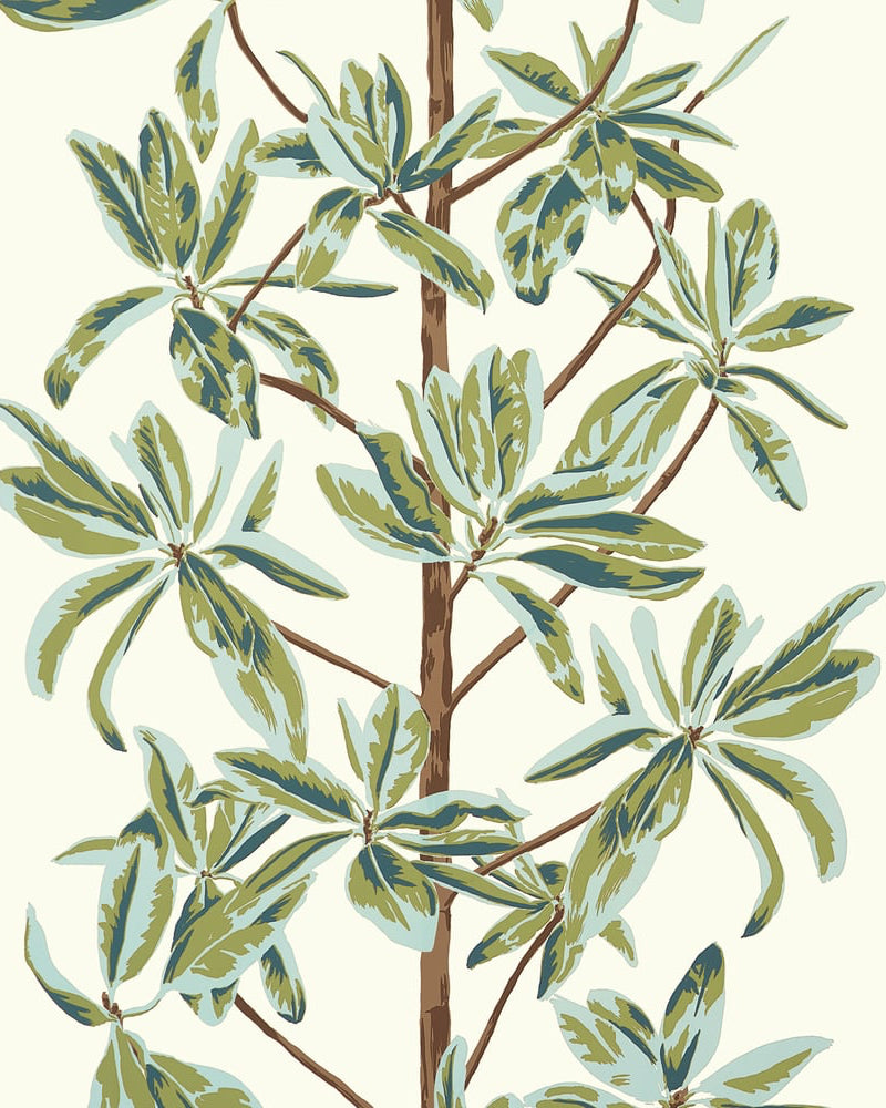 Papel de parede MANGROVE TREE thibaut