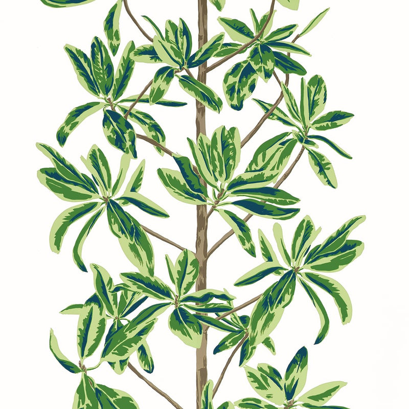 Papel de parede MANGROVE TREE thibaut