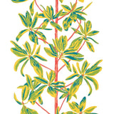 Papel de parede MANGROVE TREE thibaut