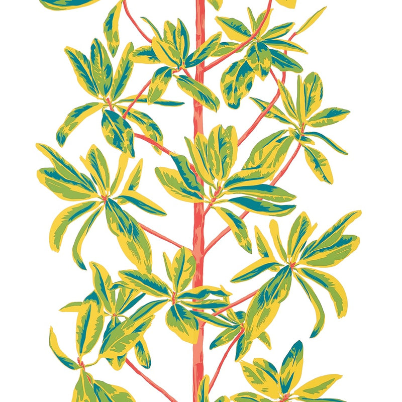 Papel de parede MANGROVE TREE thibaut